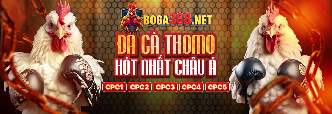 Hình ảnh chính Blog roôbet