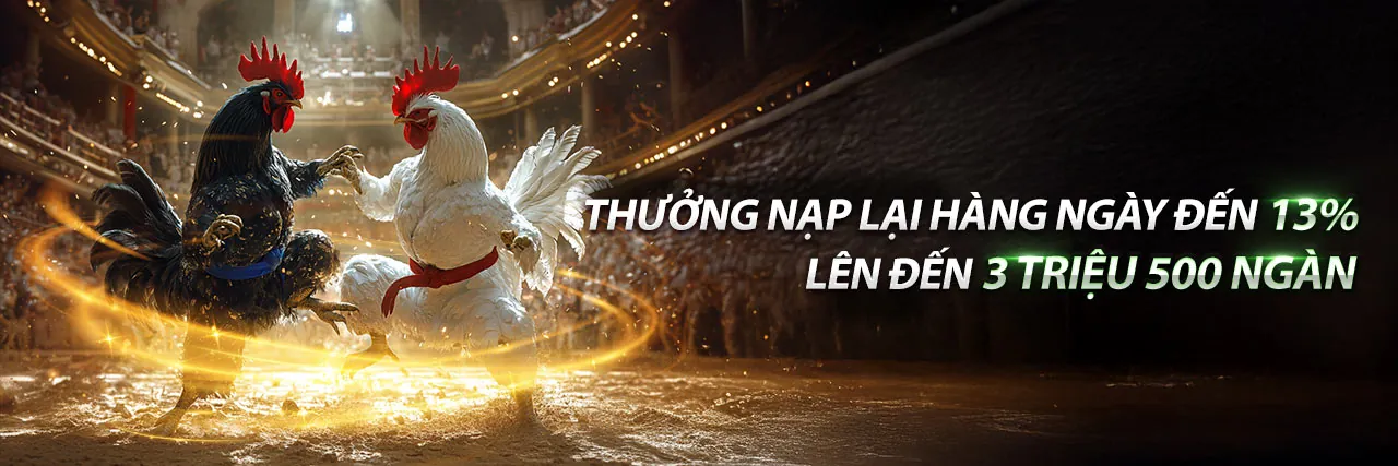 Đá Gà Trực Tuyến roôbet