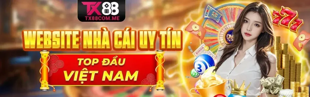 Hướng dẫn người chơi mới roôbet