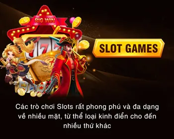 Giao diện thân thiện roôbet