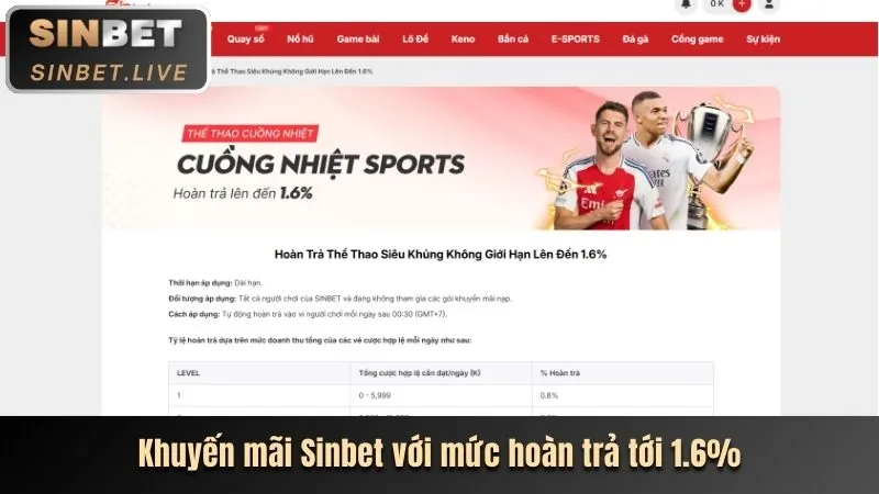 Ưu Đãi VIP roôbet